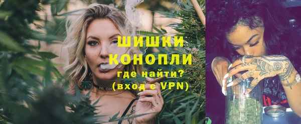 PSILOCYBIN Белокуриха